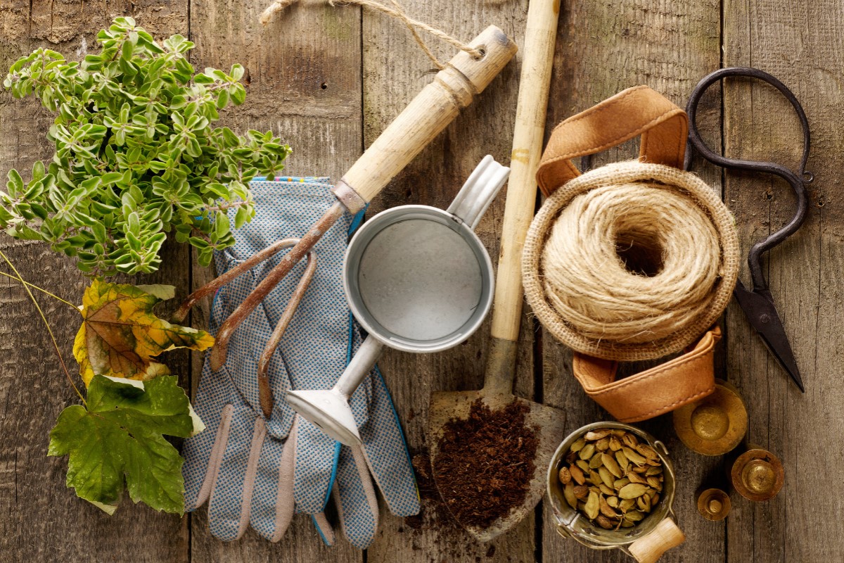 Essential Gardening Tools for Beginners: Your 2024 Guide to Green Thumb Success