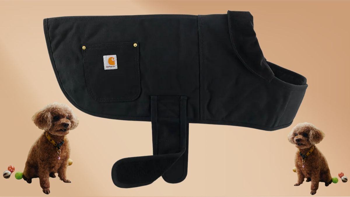 Carhartt Firm Duck Insulated Dog Chore Coat: Winter Protection for Your Canine Companion