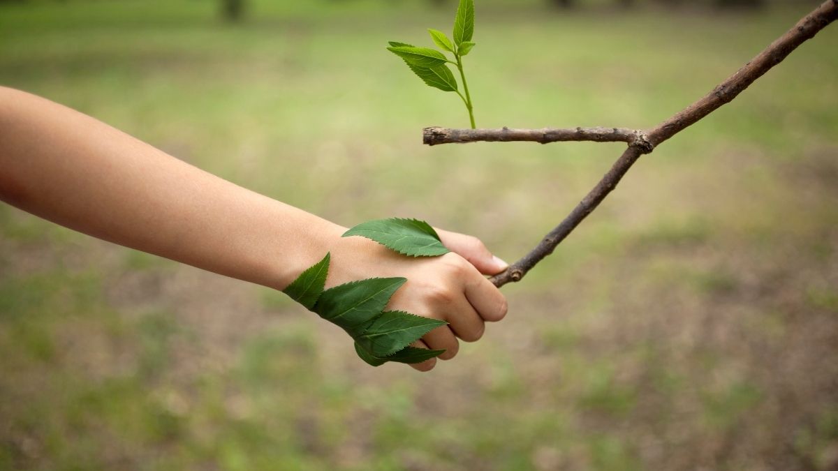 TeePublic’s Commitment to Social Responsibility: Ethical Practices & Sustainable Impact