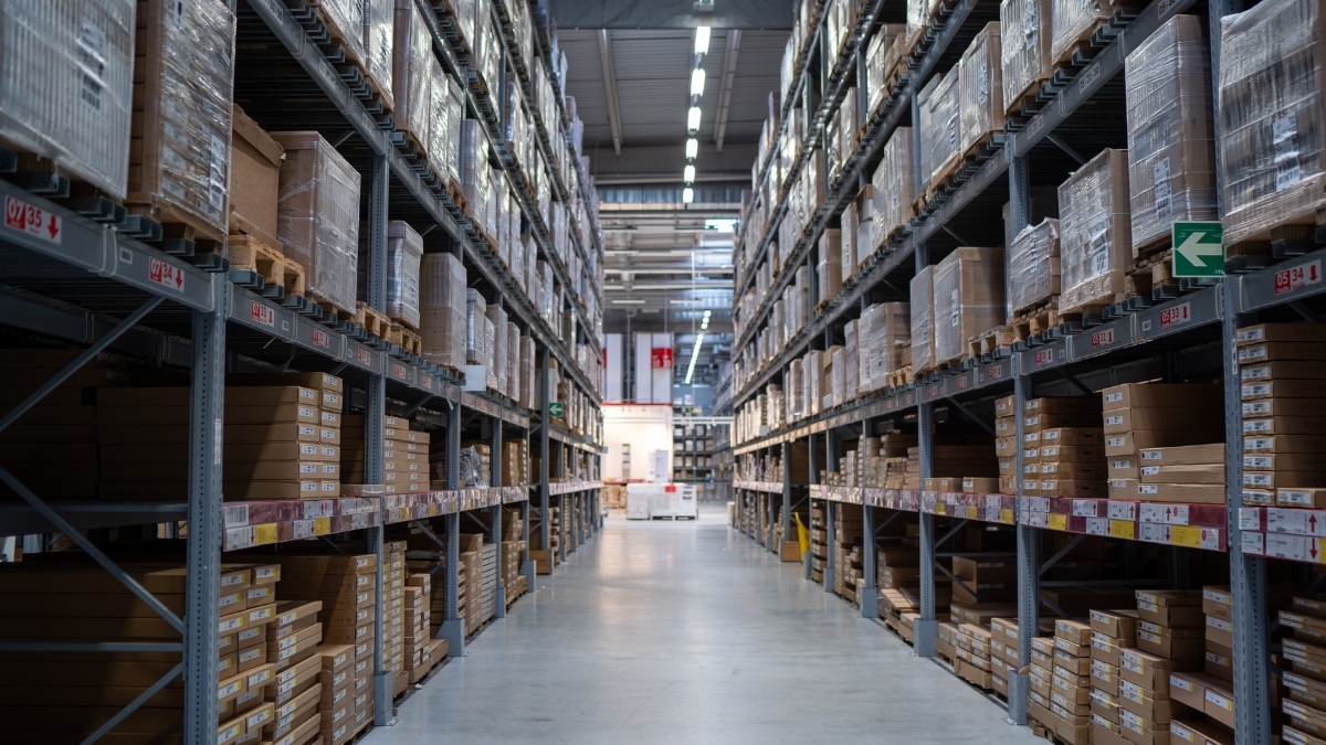 Binoid Wholesale Pricing Guide: How You Maximize Profits