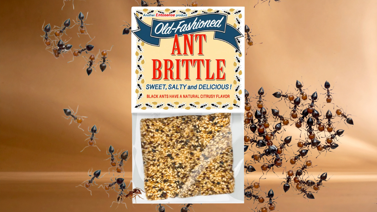 Why Old Fashioned Ant Brittle Feels So Different From Ordinary Candy