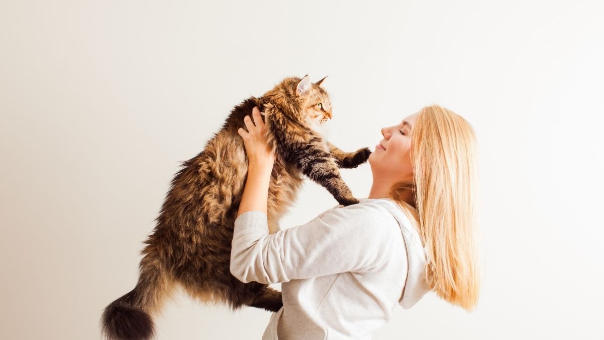 MeoWant Makes Smart Pet Care More Practical for Everyday Homes