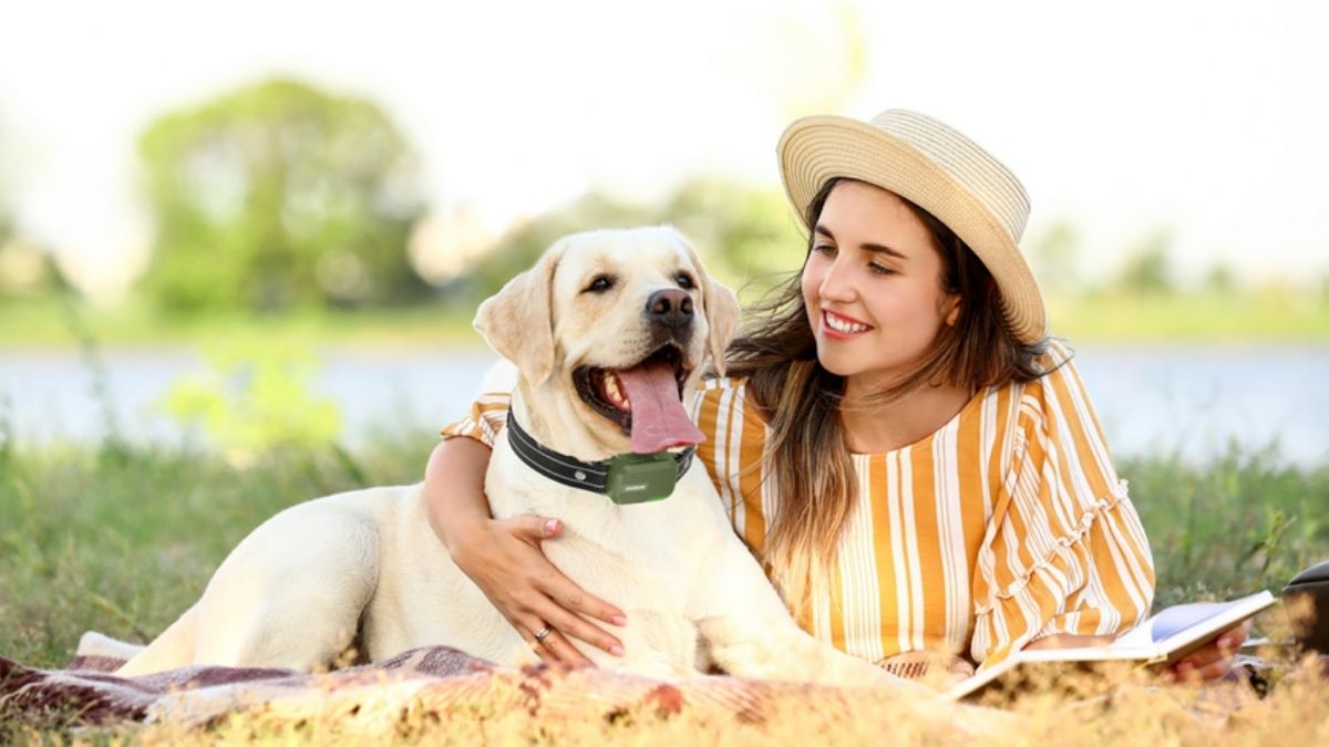 How the Jugbow T100 Changes the Way You Train Your Dog: Safer Control, Smarter Feedback, and Real Range