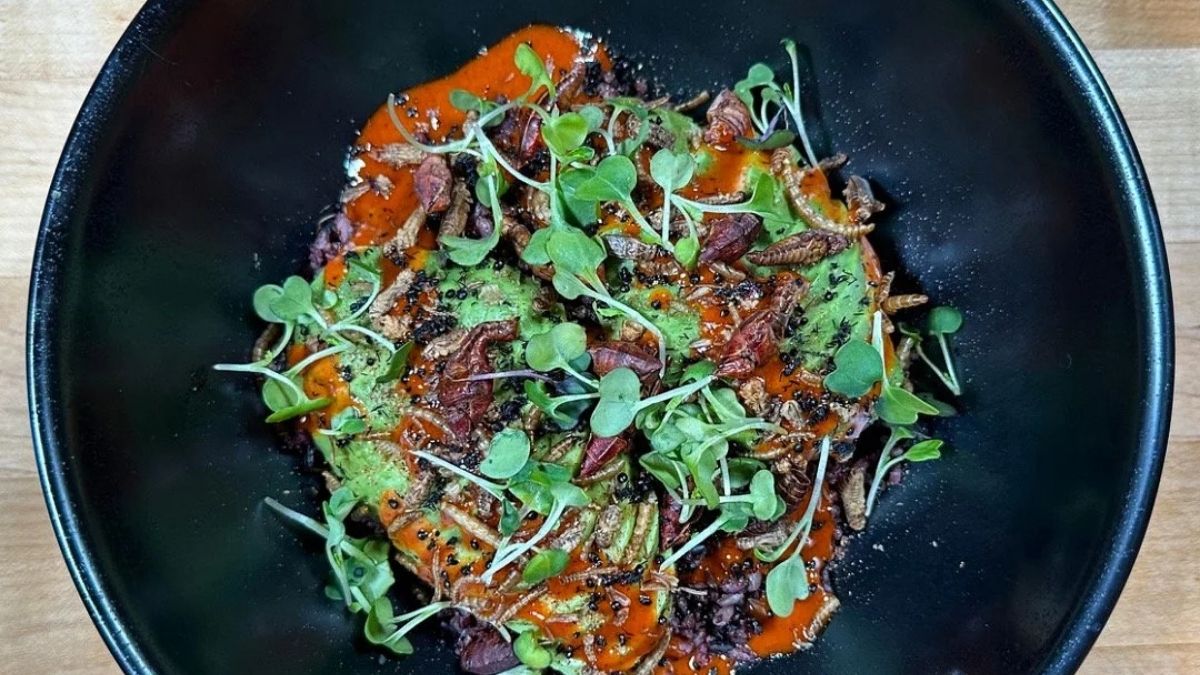 Why Ento Cuisine Appeals to Chefs Looking for Unusual Ingredients