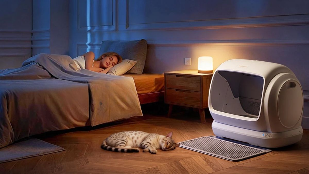 A Smarter Way to Handle Litter: Meowant MW-SC09 Explained